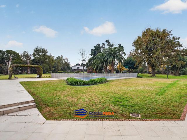 place photo 46