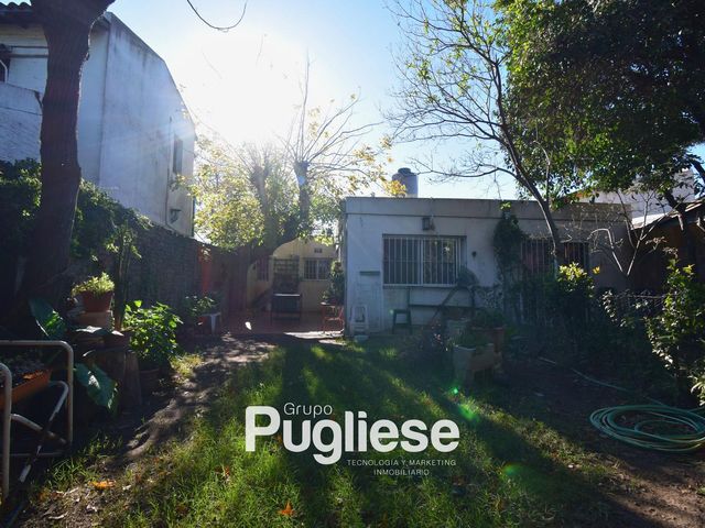 place photo 19