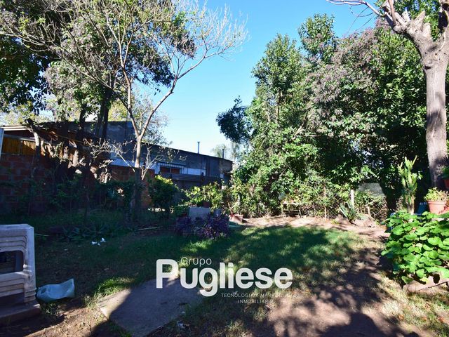 place photo 17