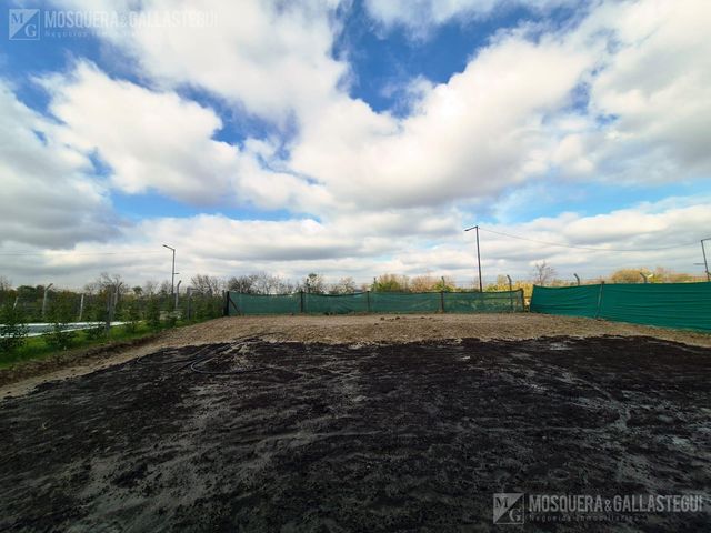 place photo 23