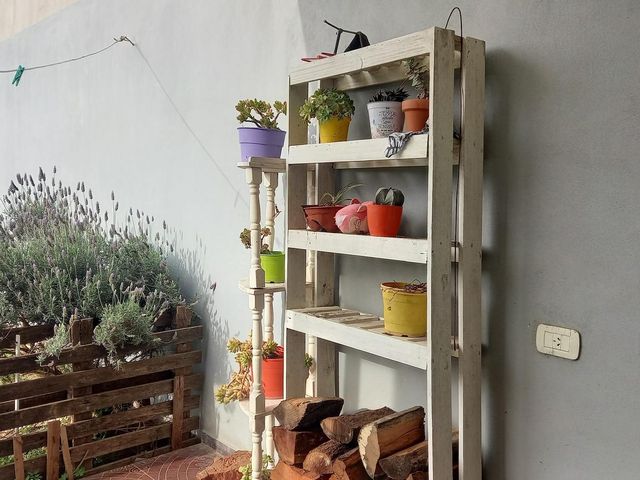 place photo 37