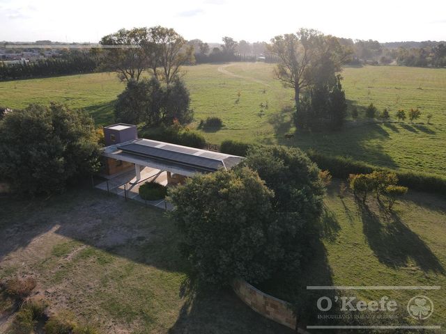 place photo 15