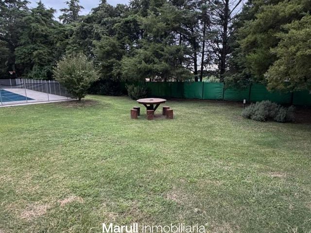 place photo 49