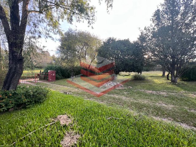 place photo 38