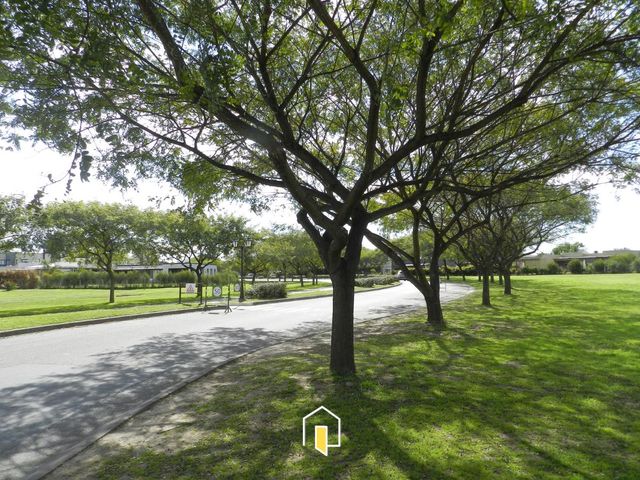 place photo 54