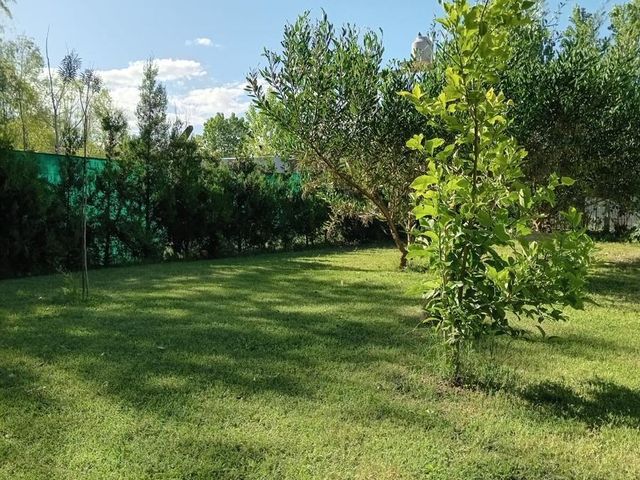 place photo 45