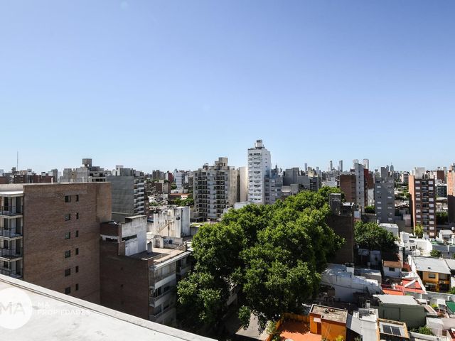 place photo 25