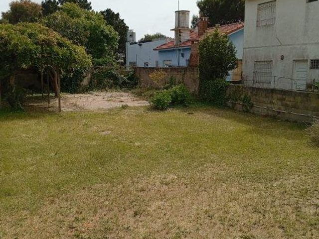 place photo 19