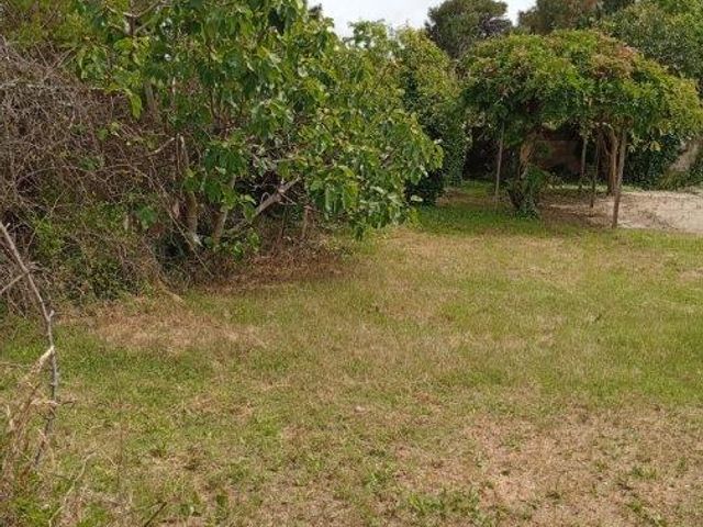 place photo 21