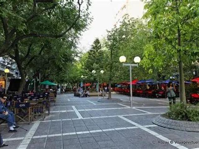 place photo 25