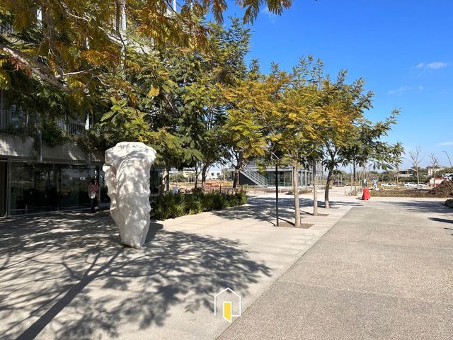 place photo 57