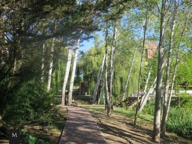 place photo 13