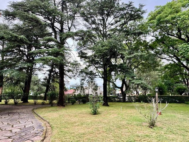 place photo 41