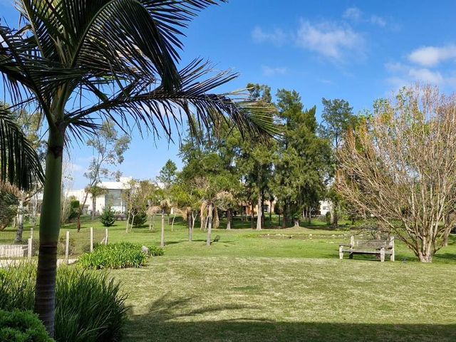 place photo 40