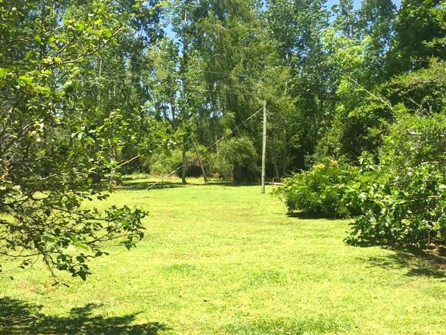 place photo 16