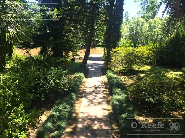 place photo 27
