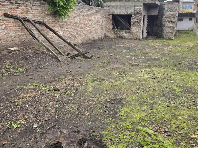 place photo 24