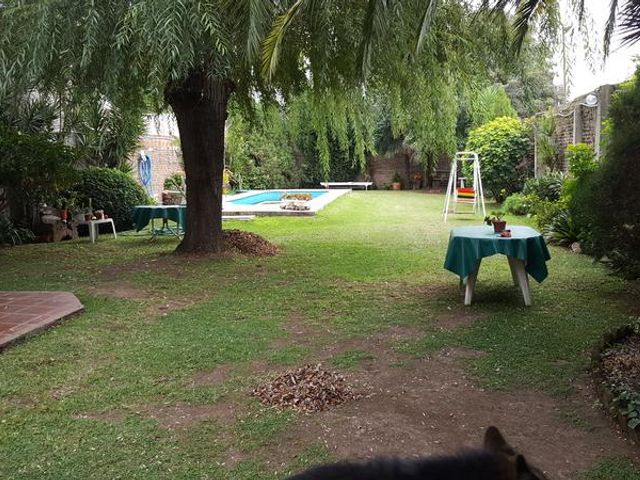 place photo 30