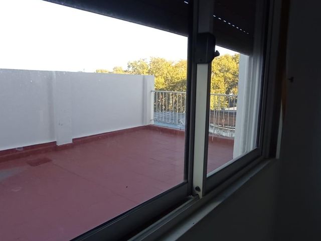 place photo 40
