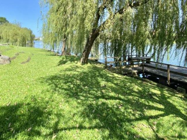 place photo 43