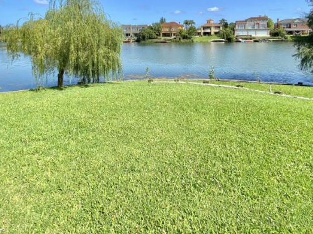 place photo 41