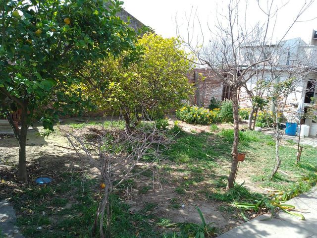 place photo 14