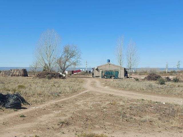 place photo 9