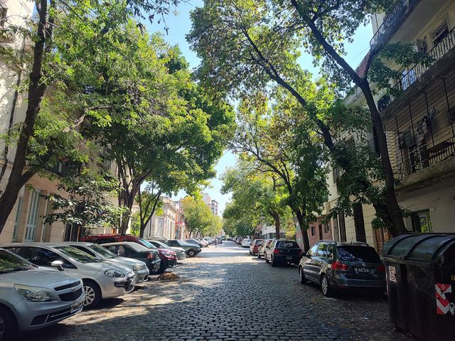 place photo 24