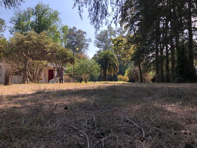 place photo 35
