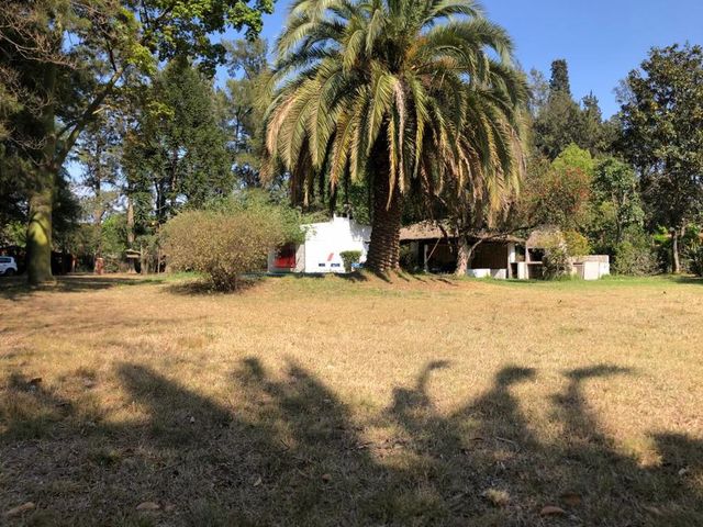 place photo 28