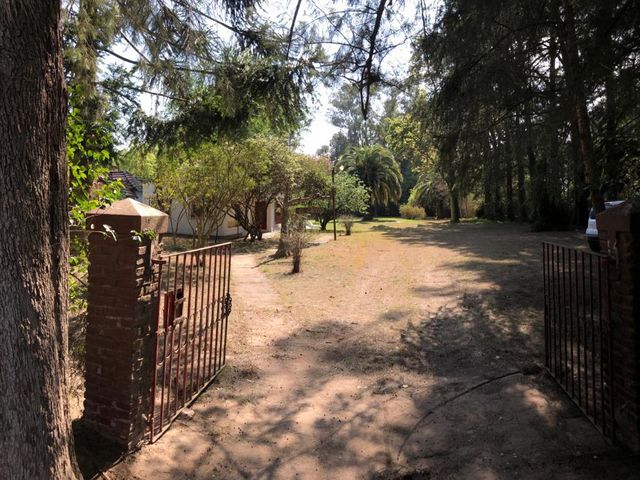 place photo 33