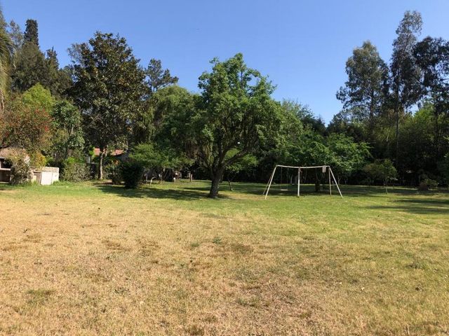 place photo 29