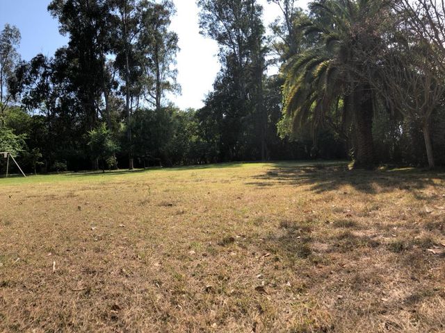 place photo 30