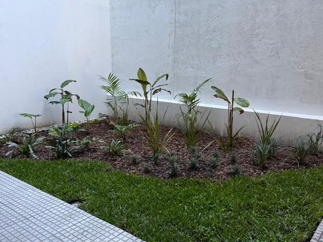 place photo 45