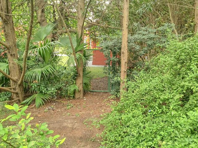 place photo 43
