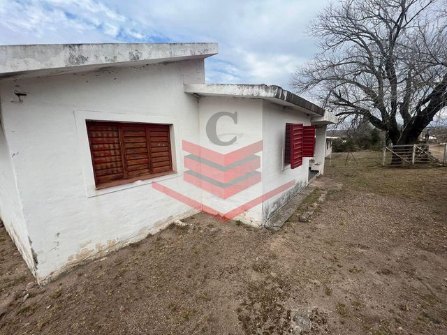 place photo 43