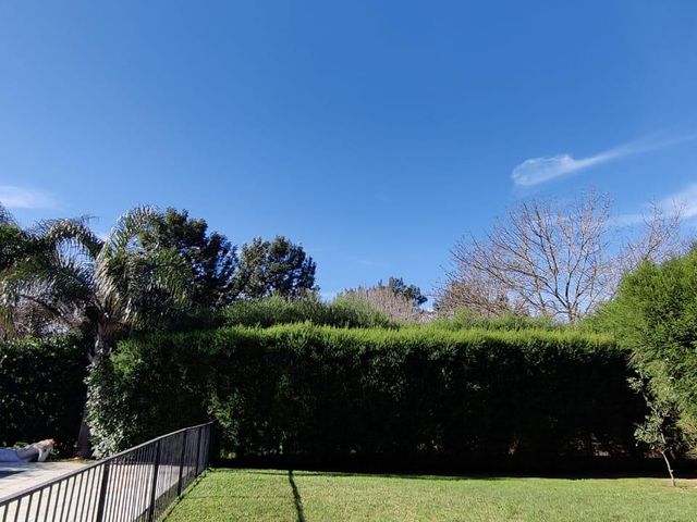 place photo 88