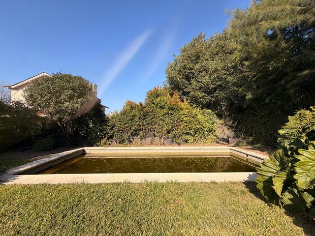 place photo 46
