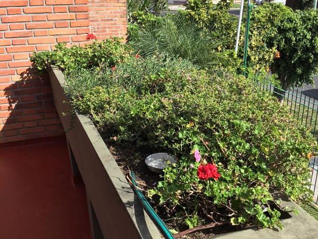 place photo 36