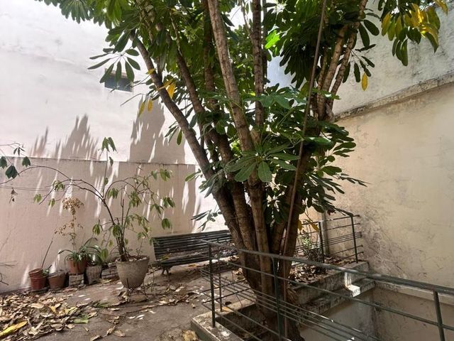 place photo 43