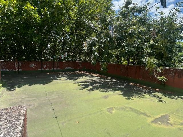 place photo 42