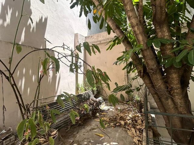 place photo 47