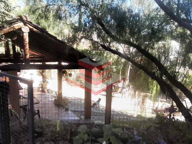 place photo 46