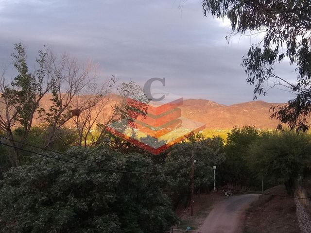 place photo 54