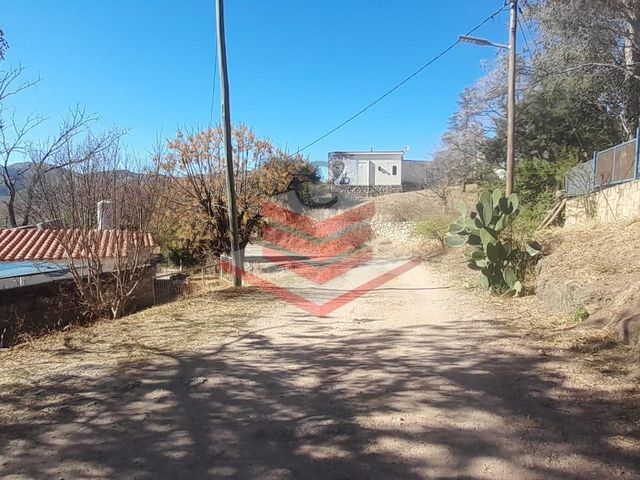 place photo 51