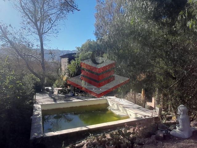 place photo 49