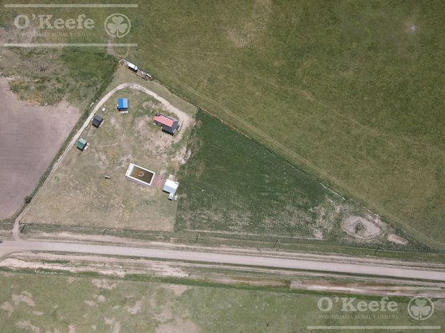 place photo 17