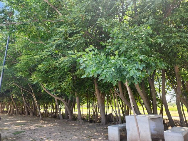 place photo 46