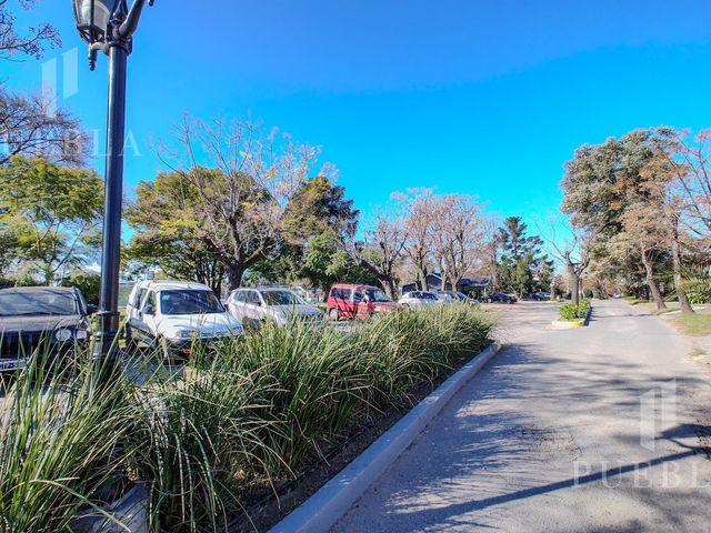 place photo 49