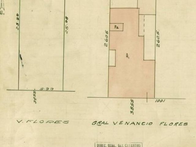 place photo 39
